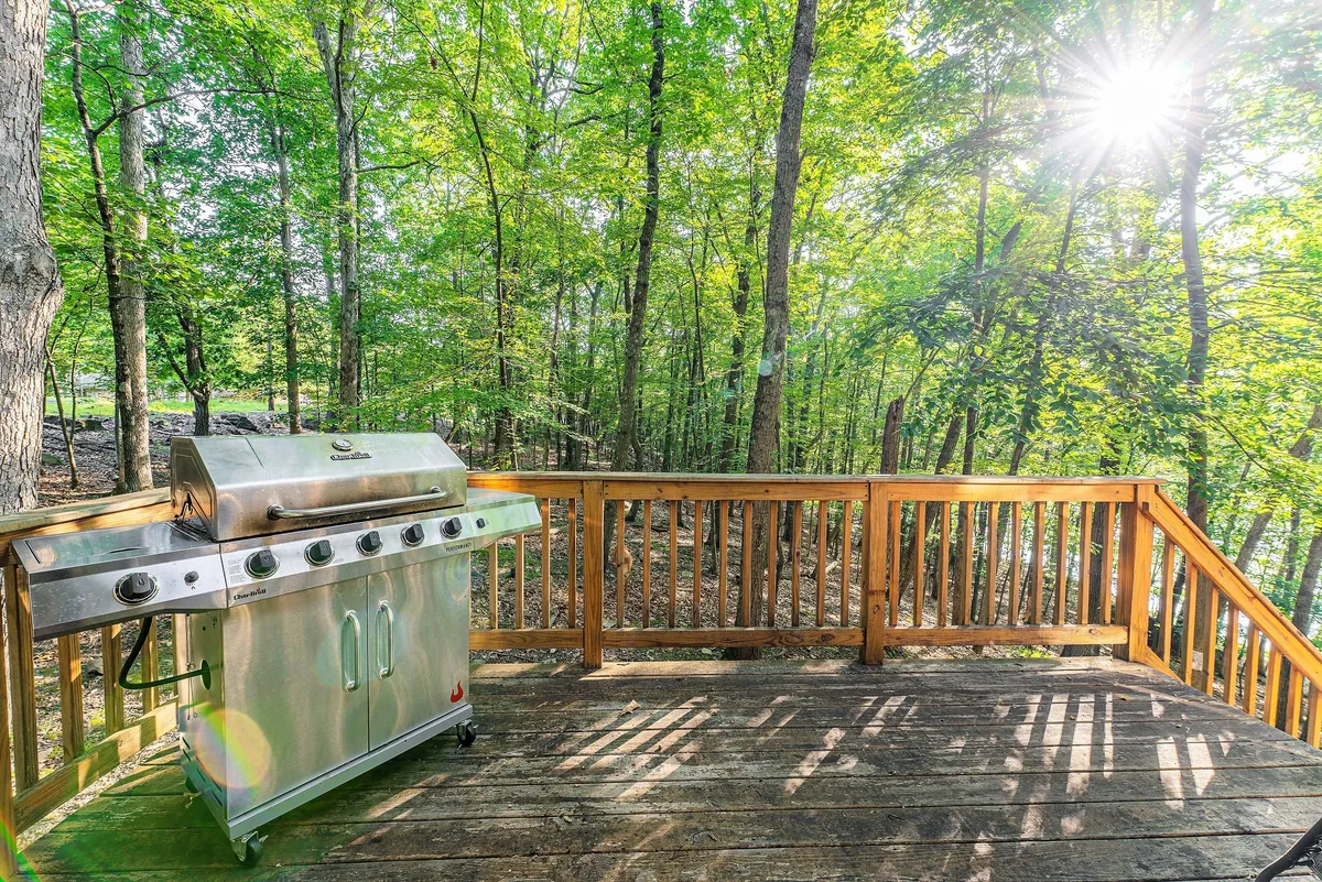 Kitchen deck access and grill