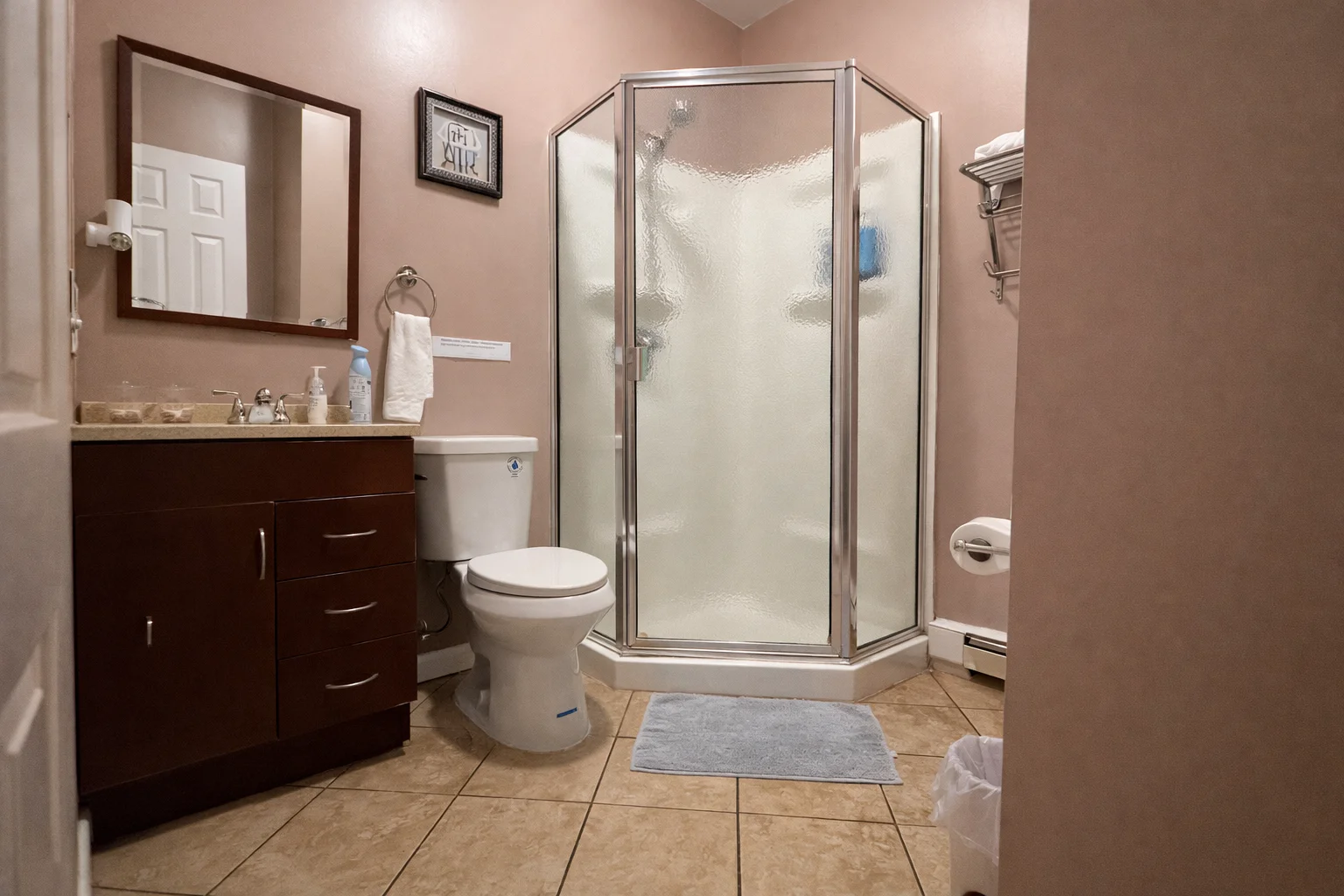 Lower level bathroom