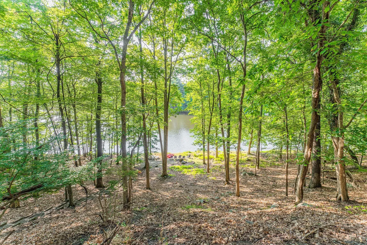 Lake view from shore